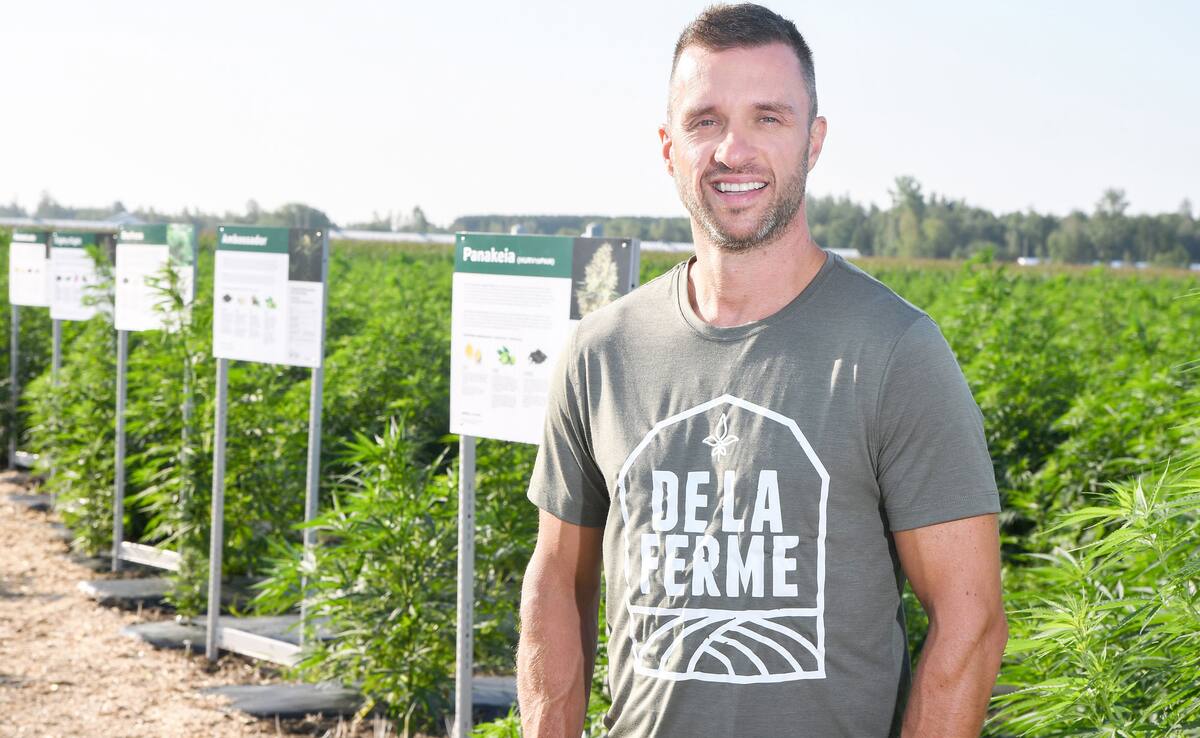 Dany Lefebvre dans un champ de chanvre devant des panneaux d’interprétation
